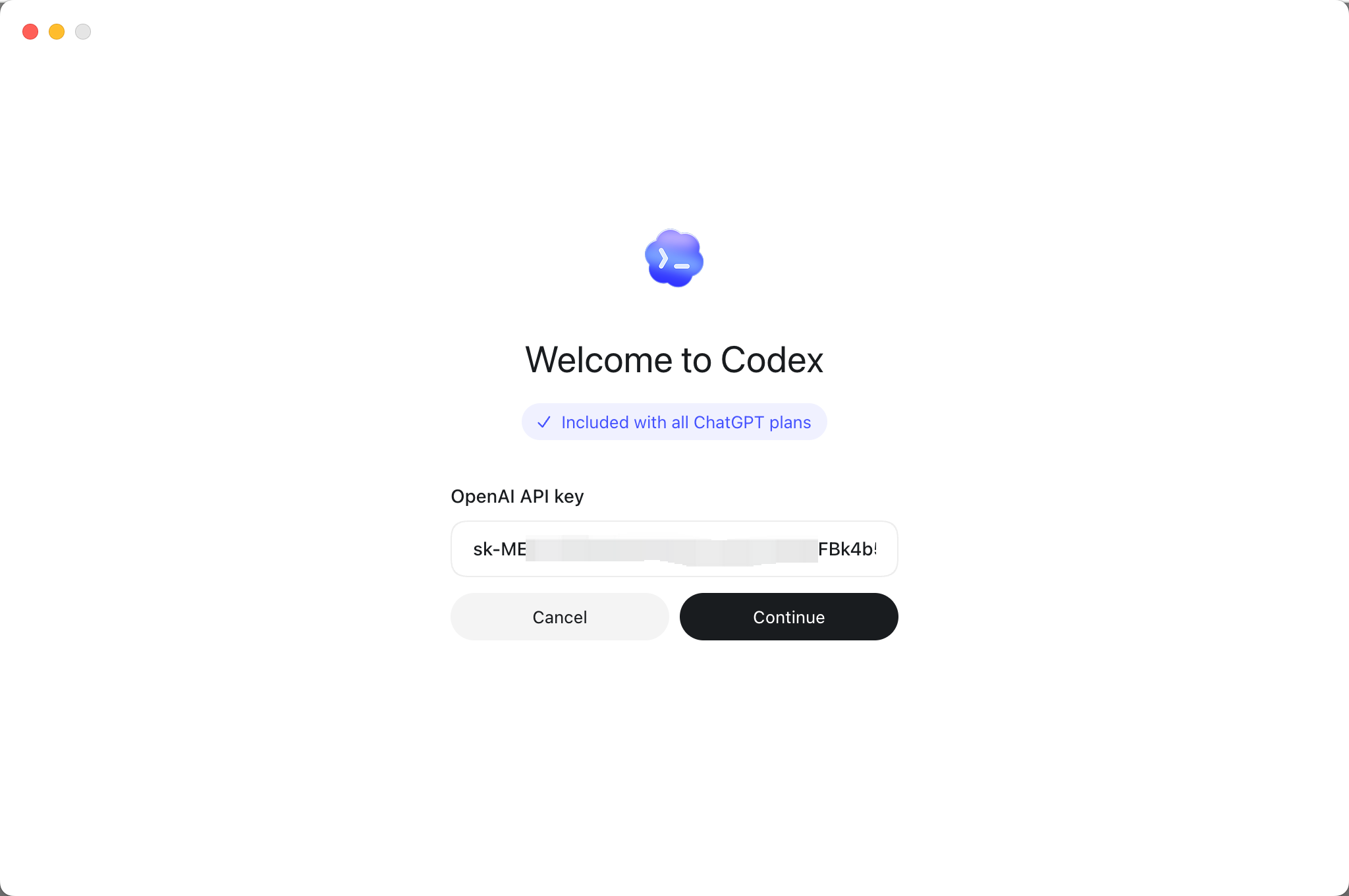 Enter an API key in Codex Desktop